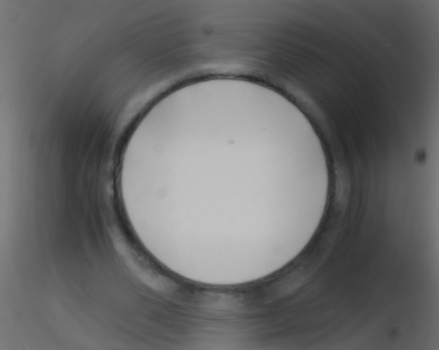 X0000115820486200912241938