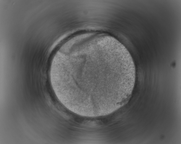 X0000115820488200912241938