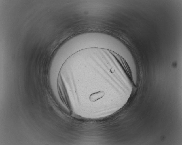 X0000115820489200912241938