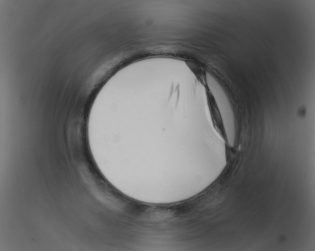 X0000115820491200912241938