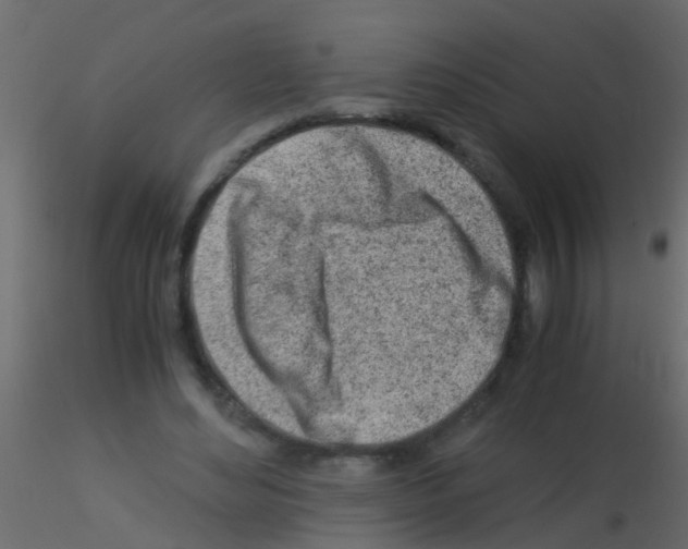 X0000115820492200912241938