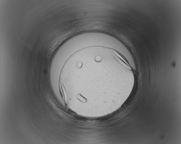 X0000115820493200912241938