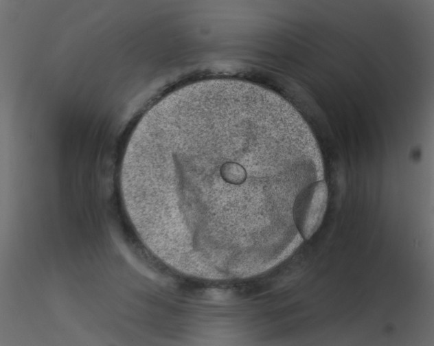 X0000115820496200912241938