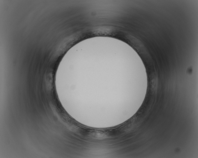 X0000115820498200912241938