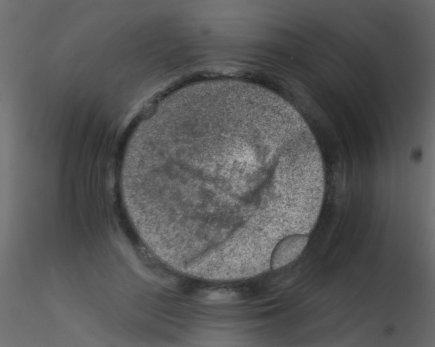 X0000115820500200912241938