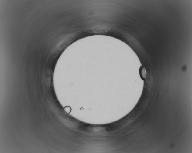 X0000115820501200912241938