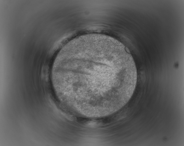 X0000115820504200912241938