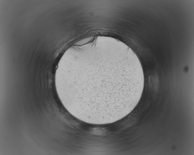 X0000115820508200912241938