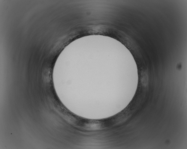 X0000115820514200912241938