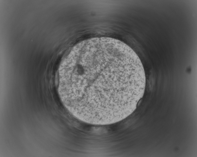 X0000115820520200912241938