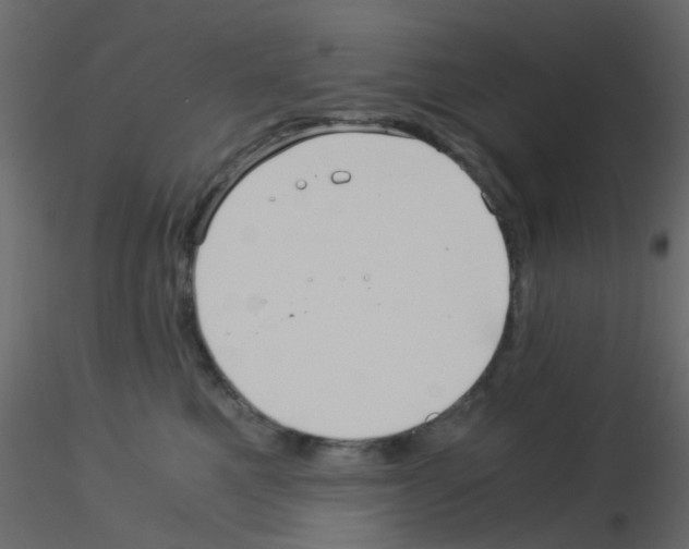 X0000115820521200912241937