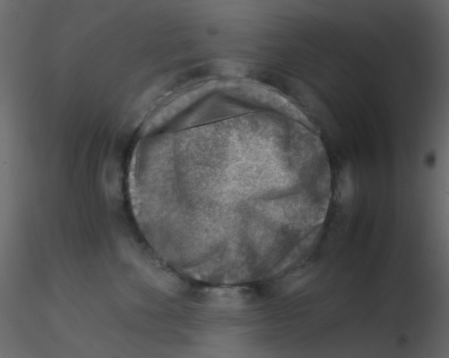 X0000115820524200912241937