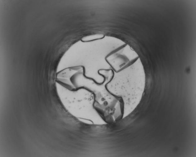 X0000115820525200912241937