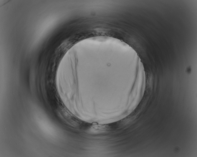 X0000115820526200912241937