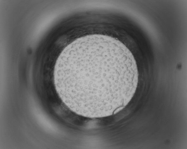 X0000115820527200912241937