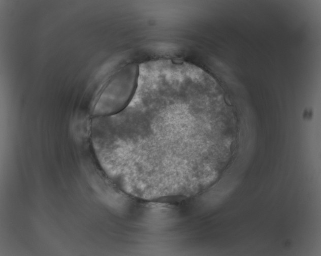 X0000115820528200912241937