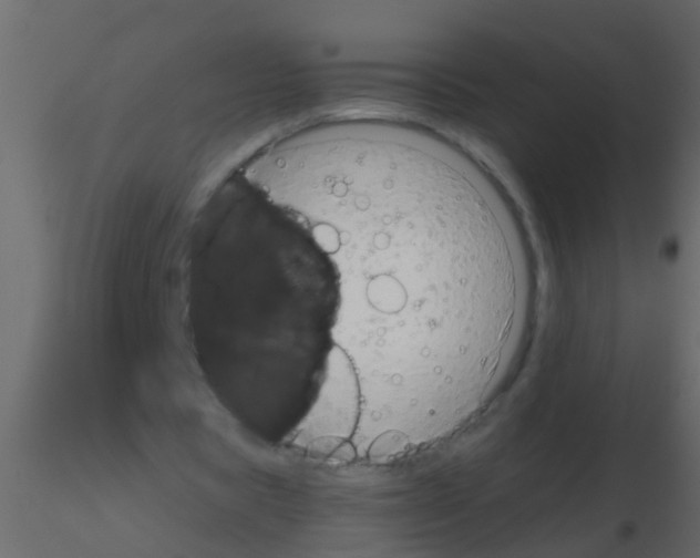 X0000115820529200912241937