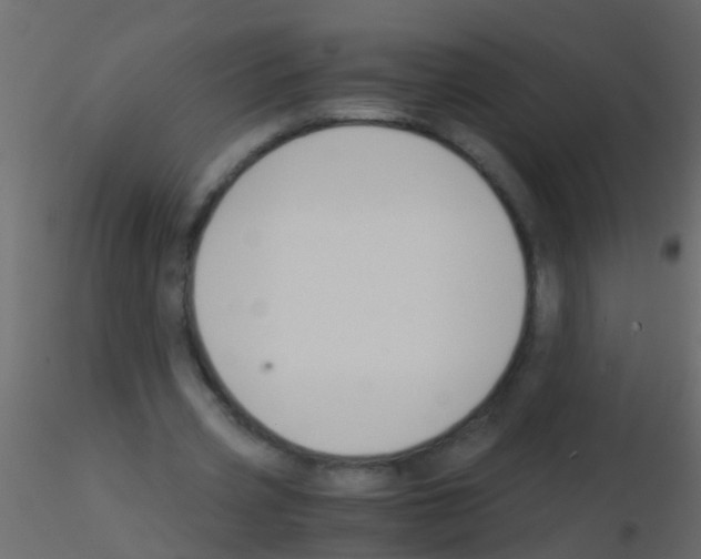 X0000115820533200912241937