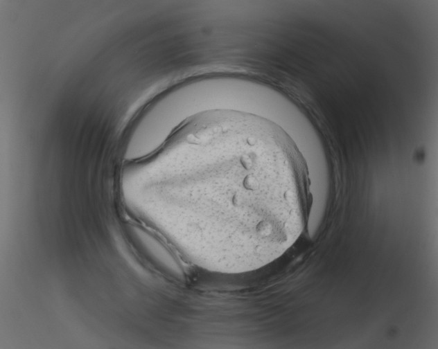 X0000115820534200912241937