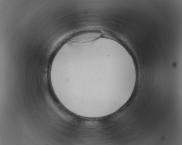 X0000115820535200912241937