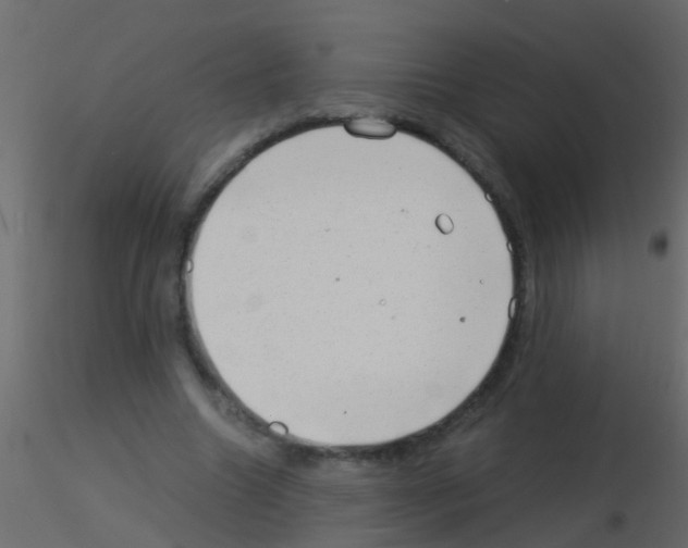 X0000115820538200912241937