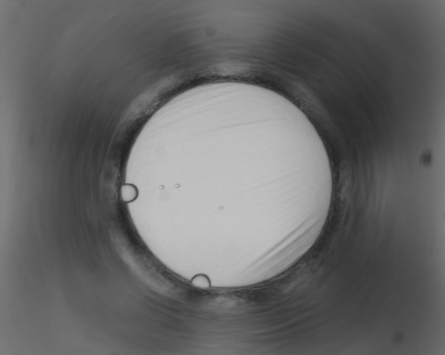 X0000115820542200912241937