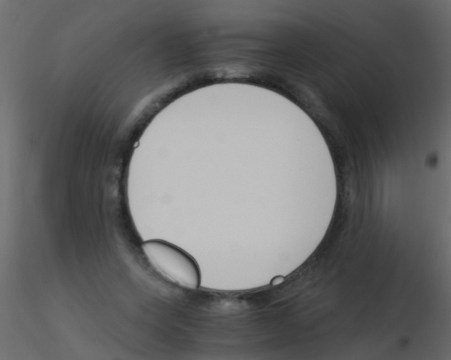 X0000115820543200912241937