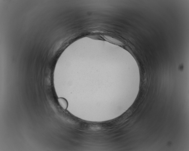 X0000115820547200912241937