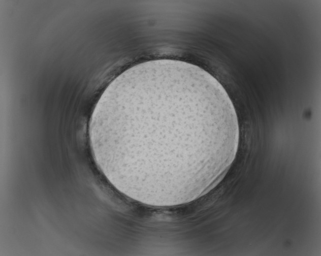 X0000115820550200912241937