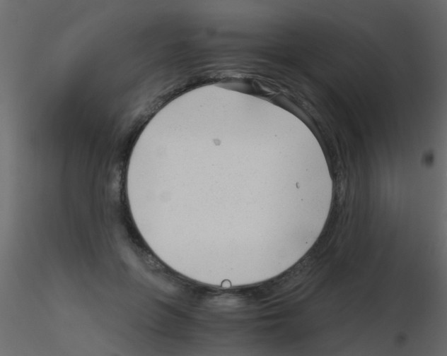 X0000115820551200912241937