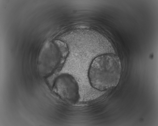 X0000115820553200912241937