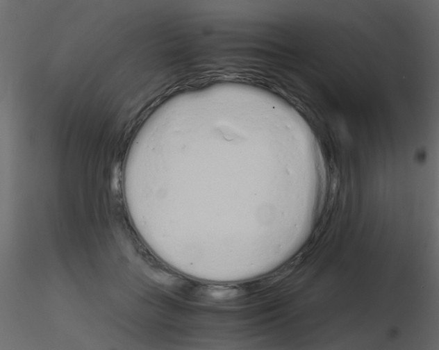 X0000115820555200912241937