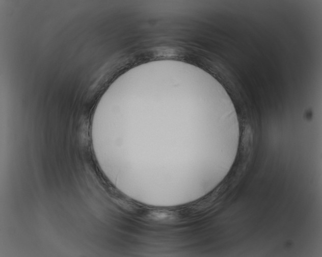 X0000115820557200912241937