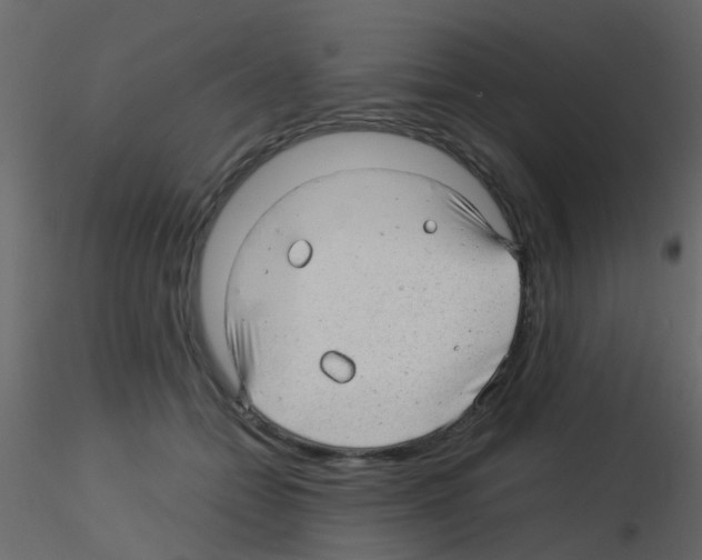 X0000115820558200912241937