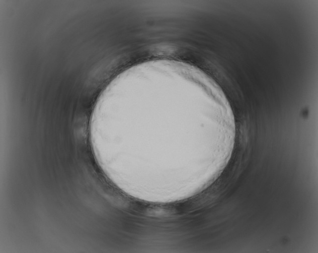 X0000115820561200912241937