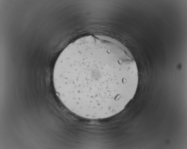 X0000115820562200912241937