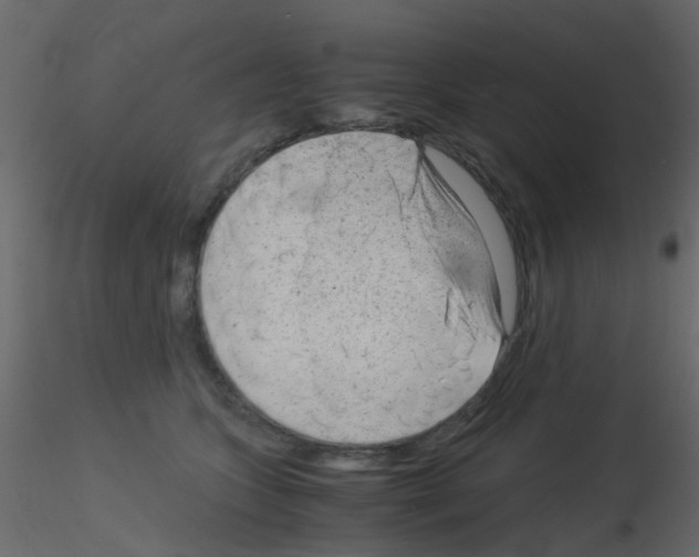 X0000115820563200912241937