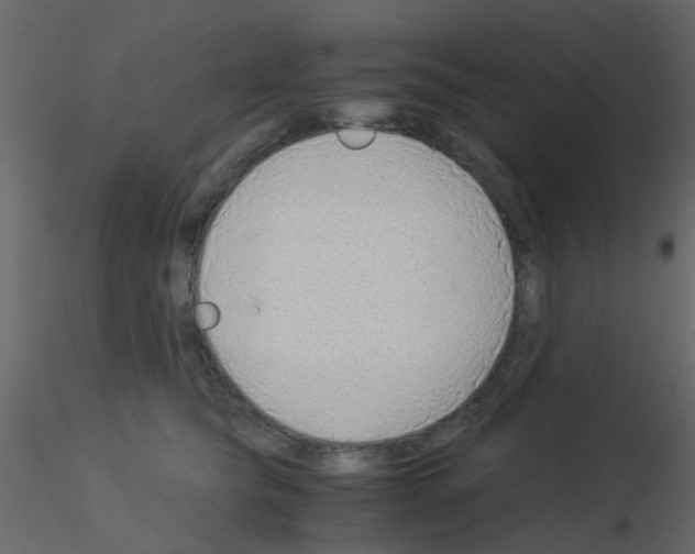 X0000115820565200912241937