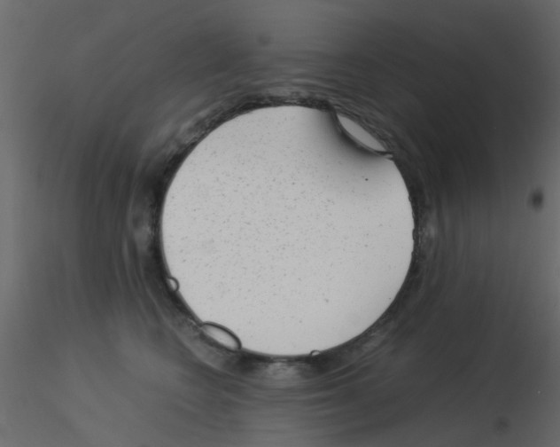 X0000115820566200912241937