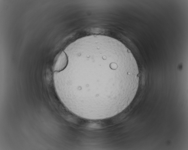 X0000115820569200912241937