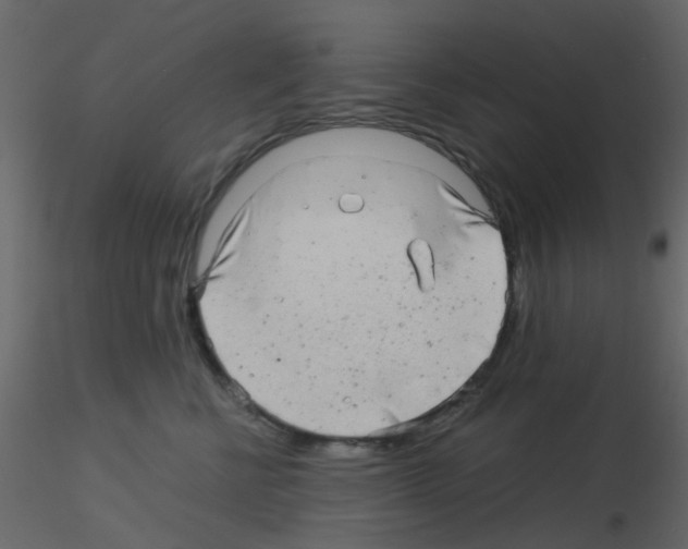 X0000115820570200912241937