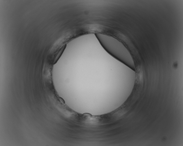 X0000115820573200912241937