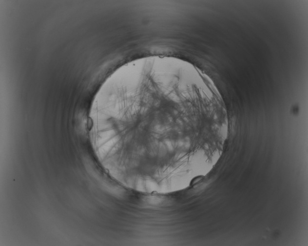 X0000115820575200912241937