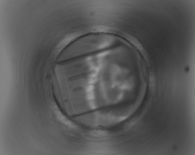 X0000115820577200912241937