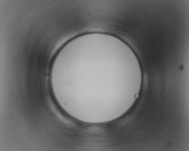 X0000115820578200912241937