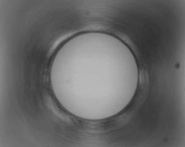 X0000115820579200912241937