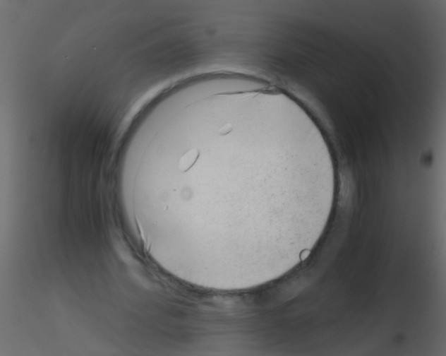 X0000115820580200912241937