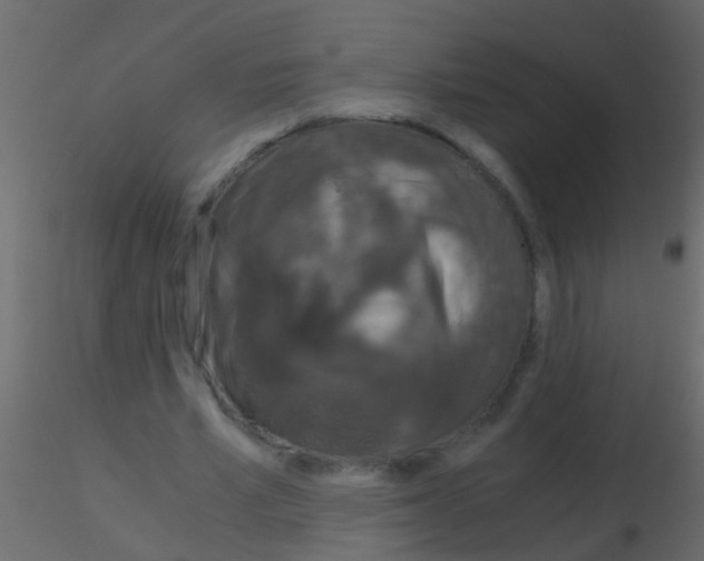 X0000115820581200912241937