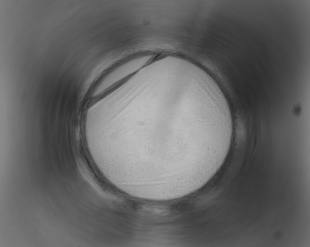 X0000115820582200912241937