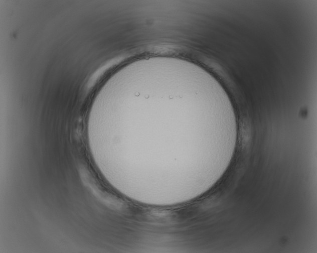 X0000115820583200912241937